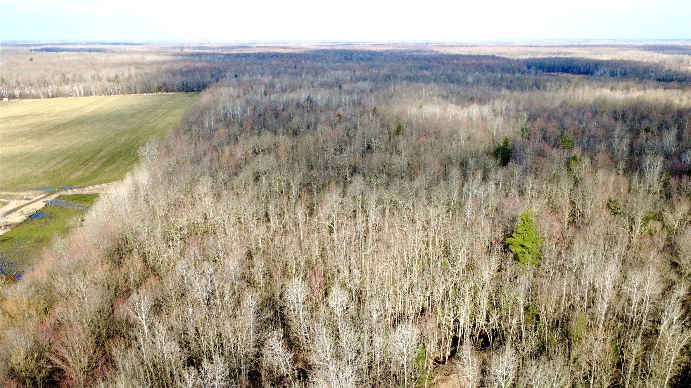 N2615 Highway 73 Sheldon, WI 54766 - Photo 2 of 26