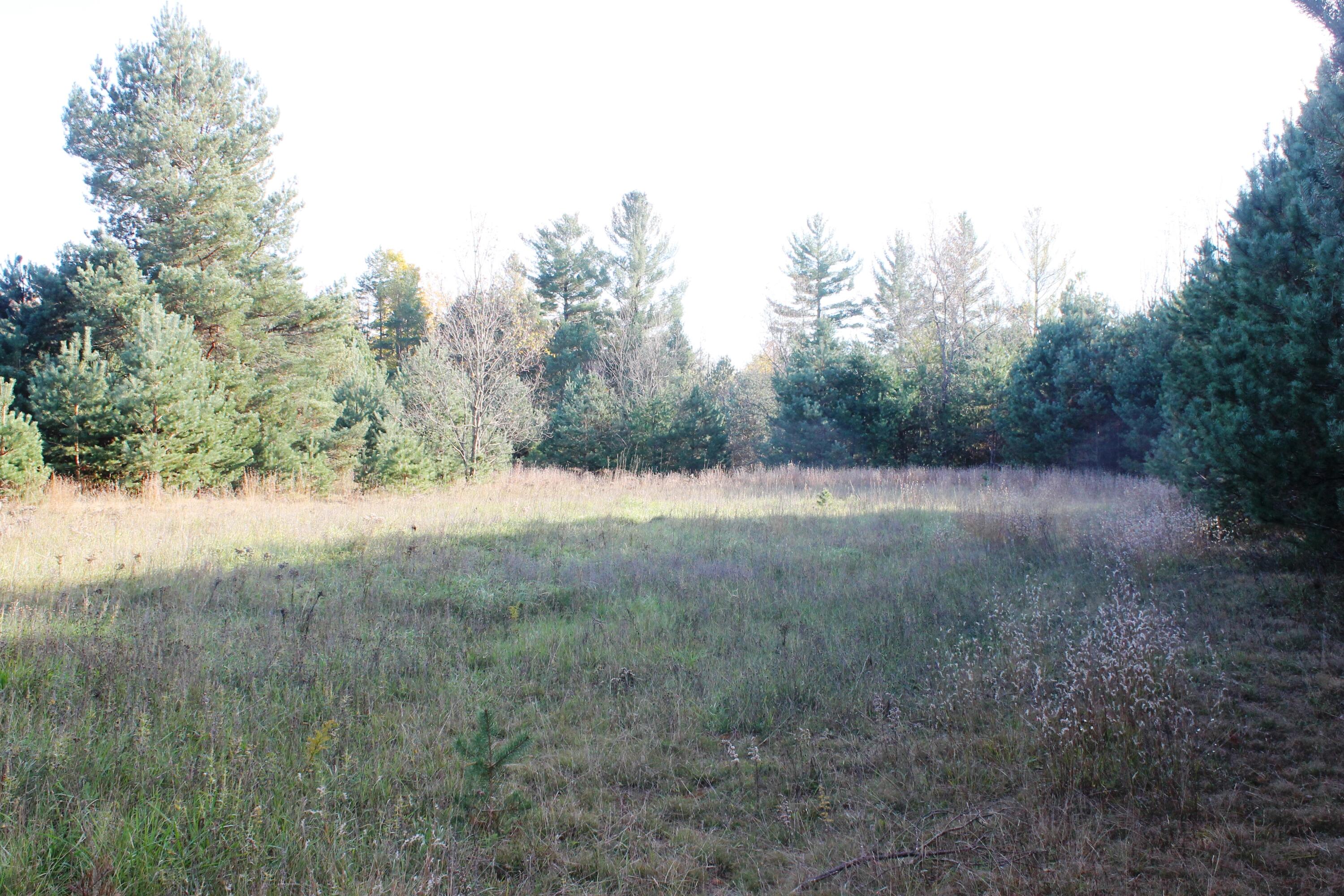 8126 North Petersen Road Frederic, MI 49733 - Photo 53 of 77 Gallery Image 53
