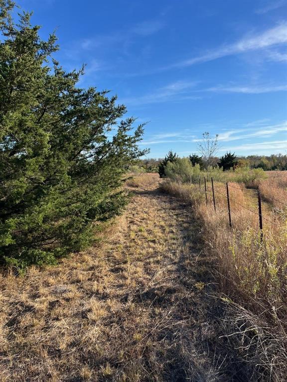 2585 County Road 2130 Cooper, TX 75432 - Photo 10 of 16