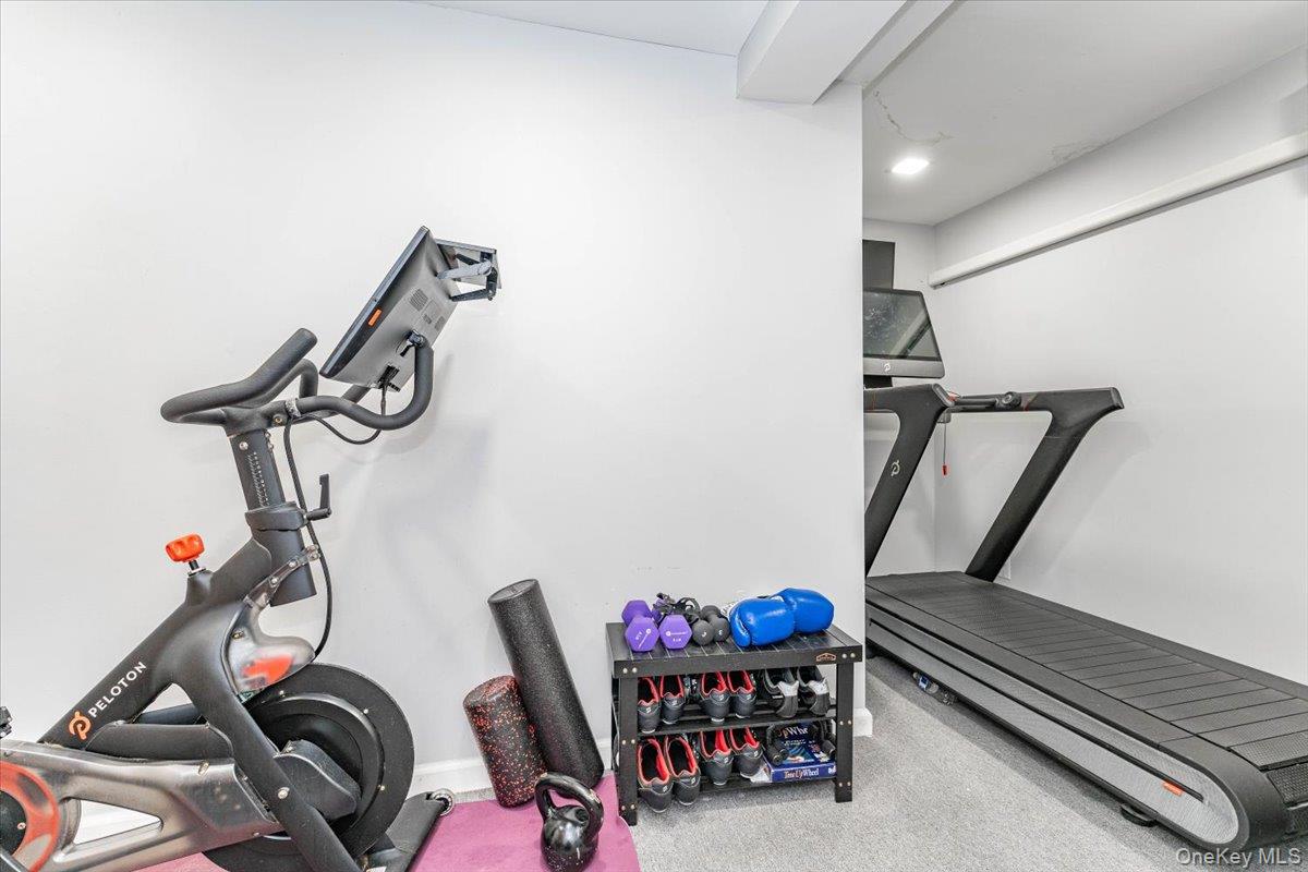 22 Larch Hill Road Lawrence, NY 11559 - Photo 20 of 31 a view of a room with gym equipment