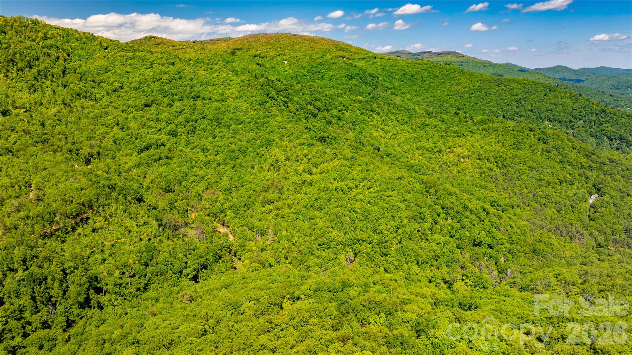 214 Ballard Creek Road Fairview, NC 28730 - Photo 17 of 18 a view of an outdoor space and mountain view
