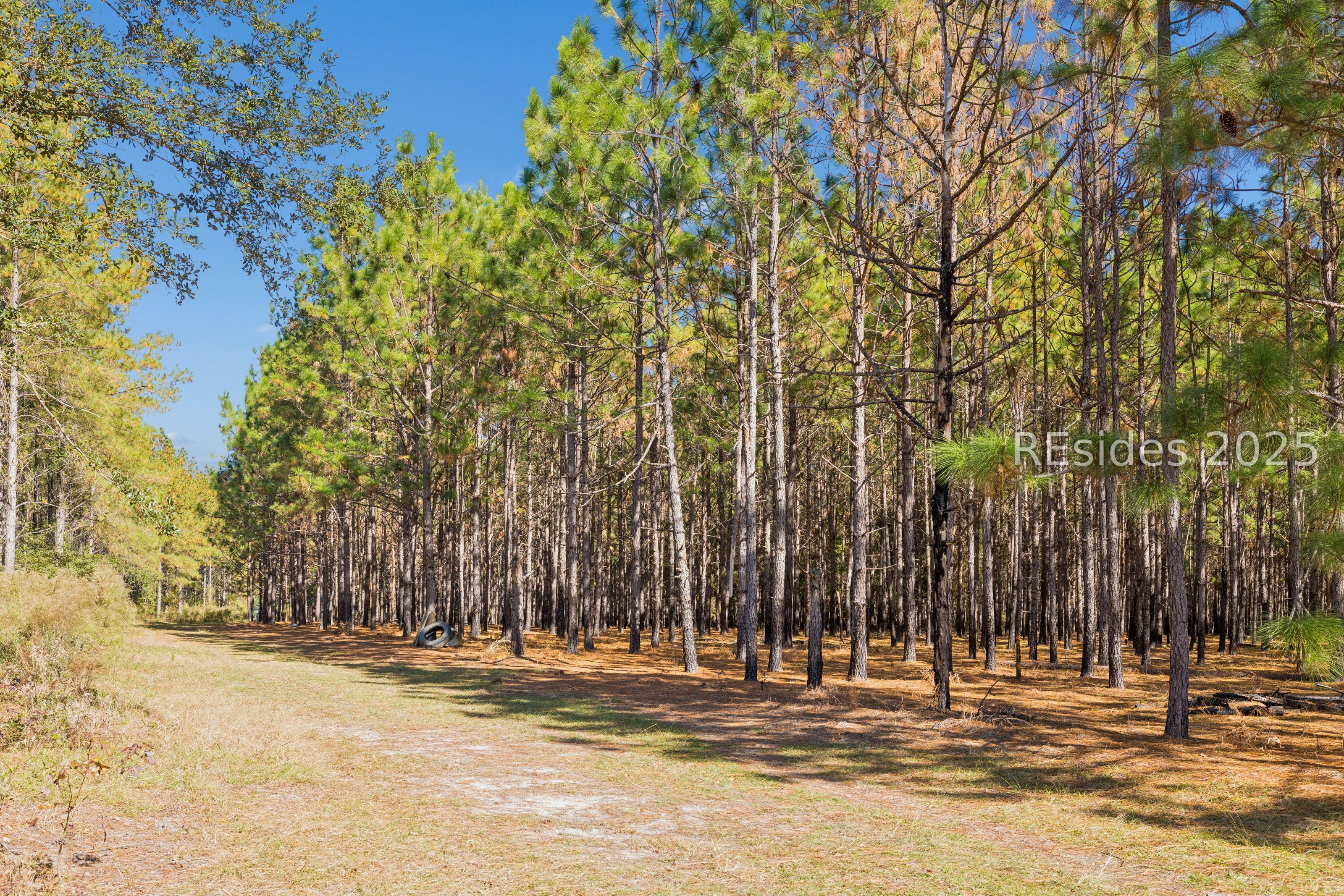 0 Morgandollar Road Ridgeland, SC 29936 - Photo 35 of 38