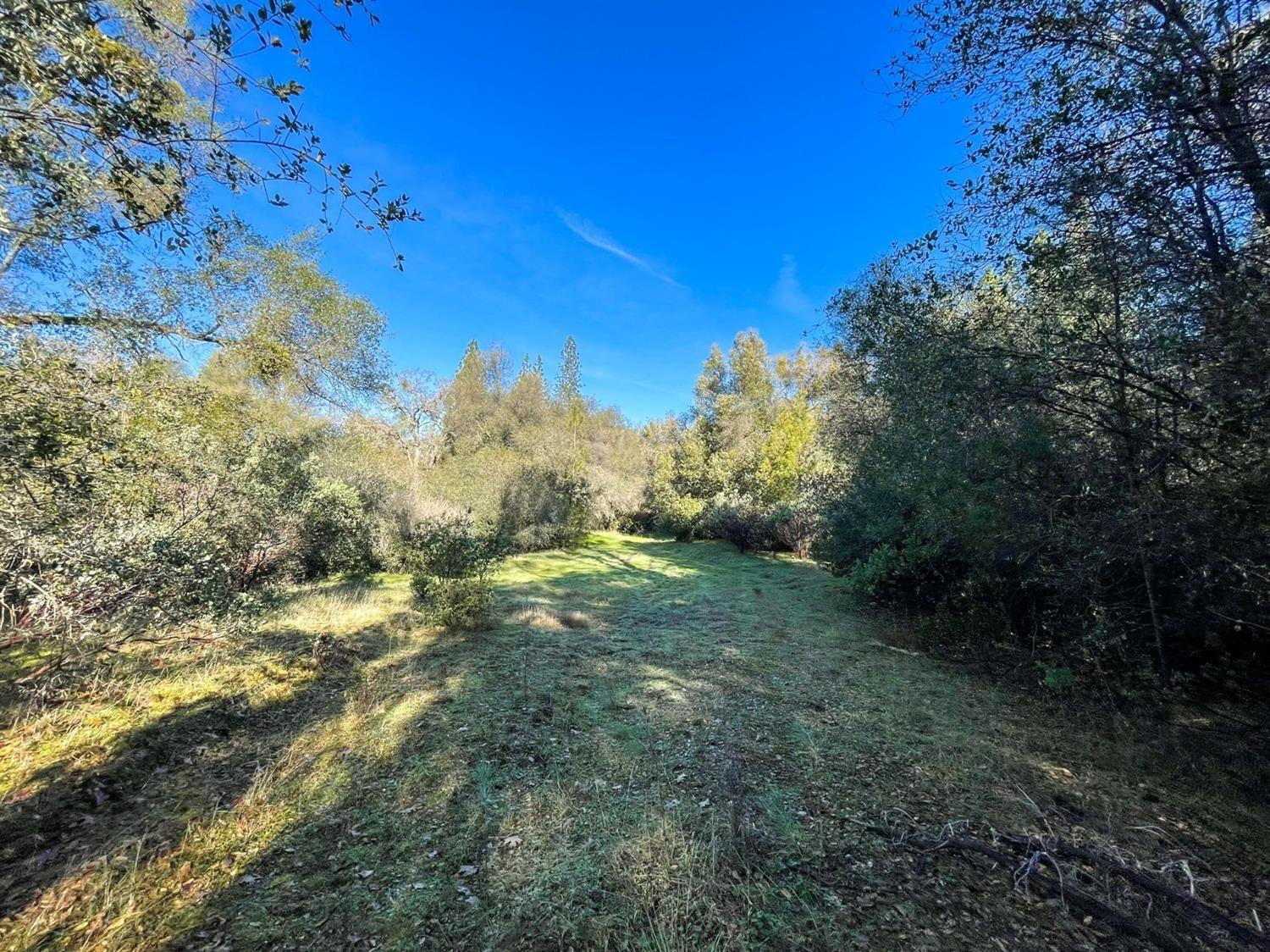 3040 Wolverine Court El Dorado, CA 95623 - Photo 11 of 23 a view of a field with trees