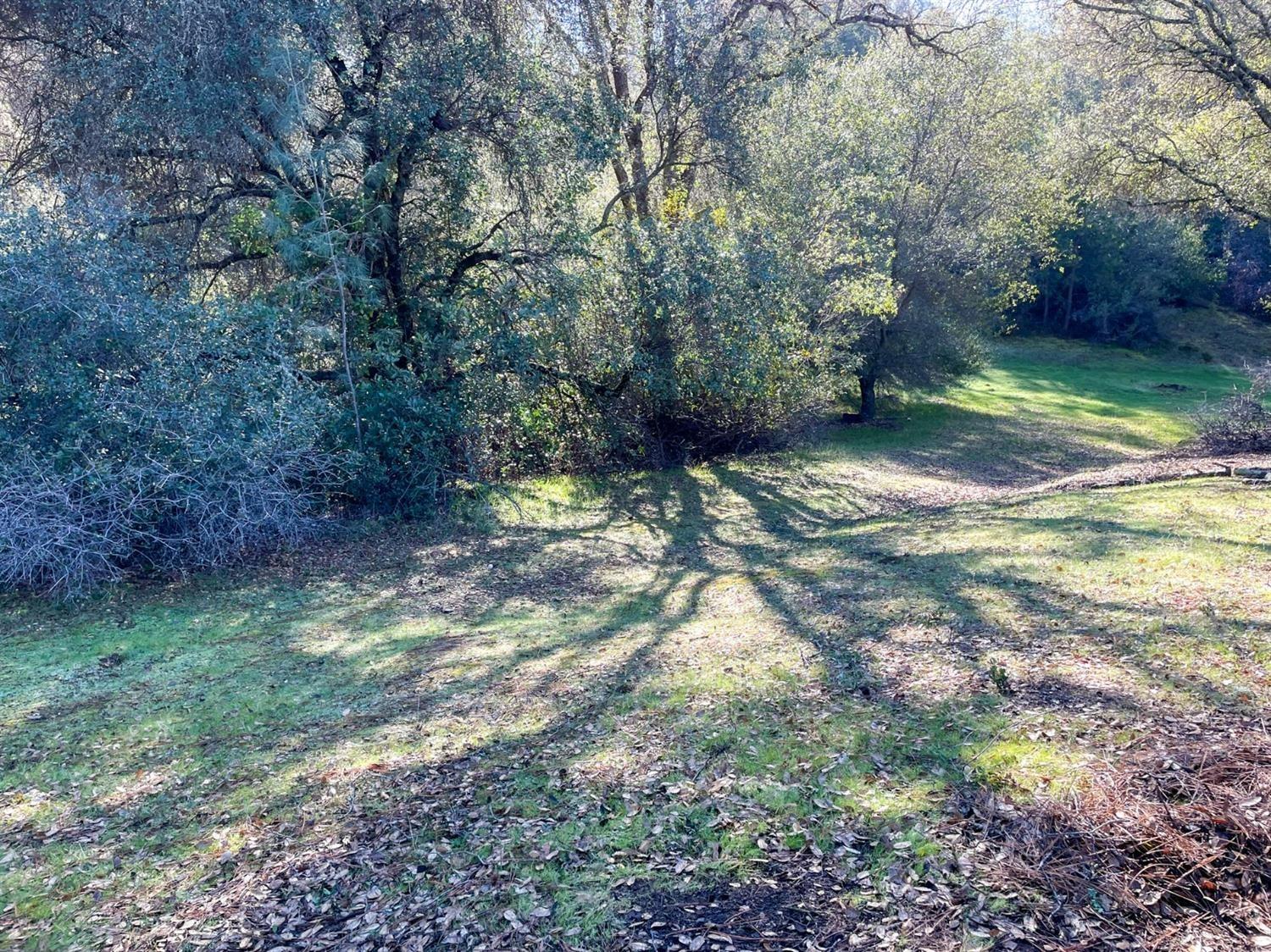 3040 Wolverine Court El Dorado, CA 95623 - Photo 14 of 23 a view of a trees with a yard