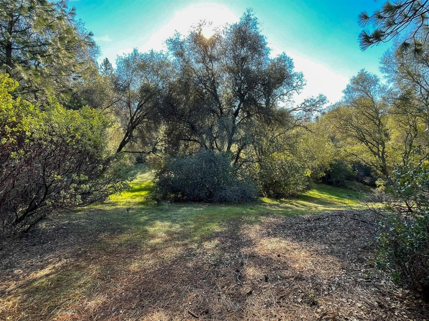 3040 Wolverine Court El Dorado, CA 95623 - Photo 15 of 23 a view of a backyard with swimming pool