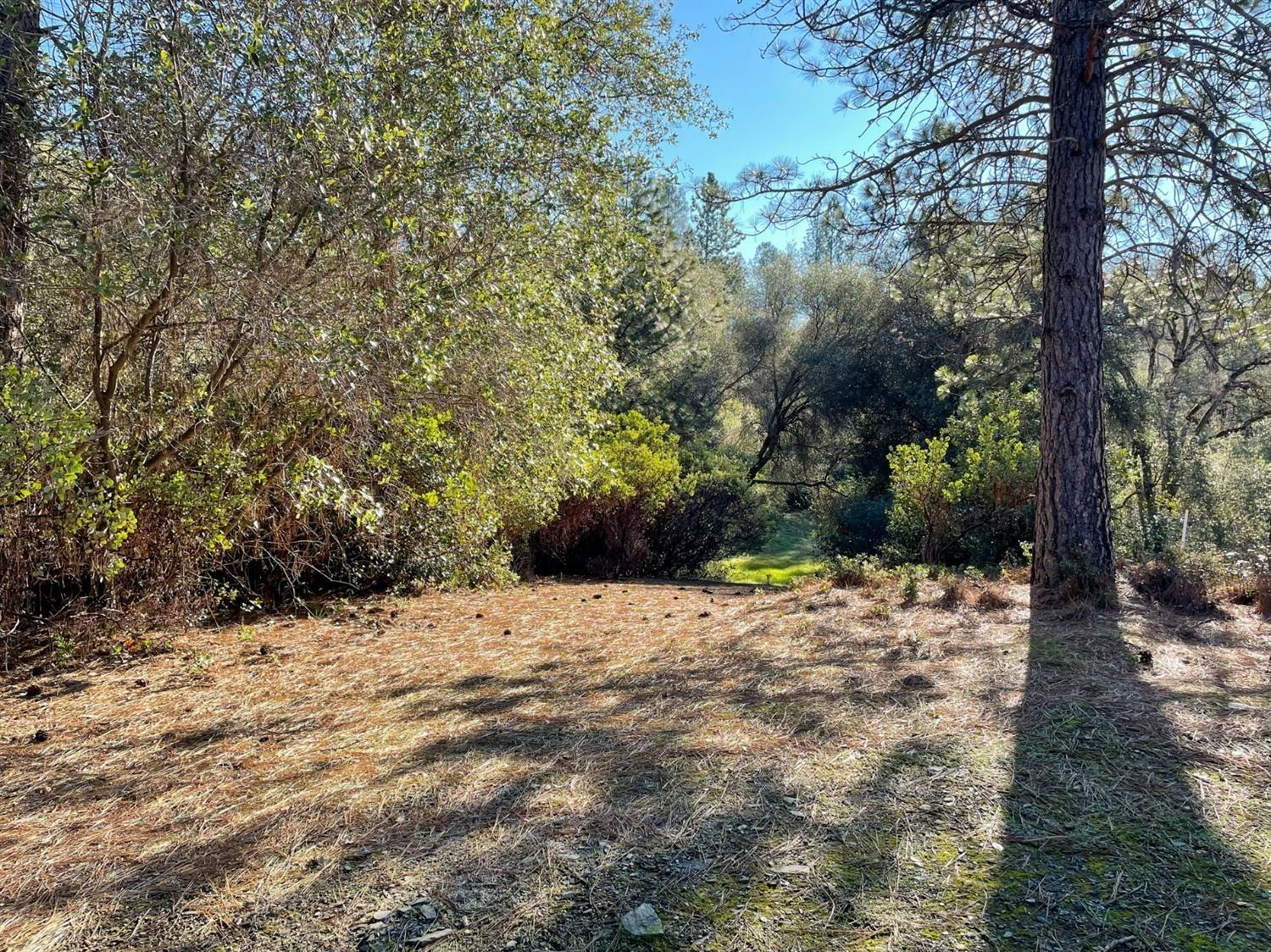 3040 Wolverine Court El Dorado, CA 95623 - Photo 16 of 23 a view of a yard with trees
