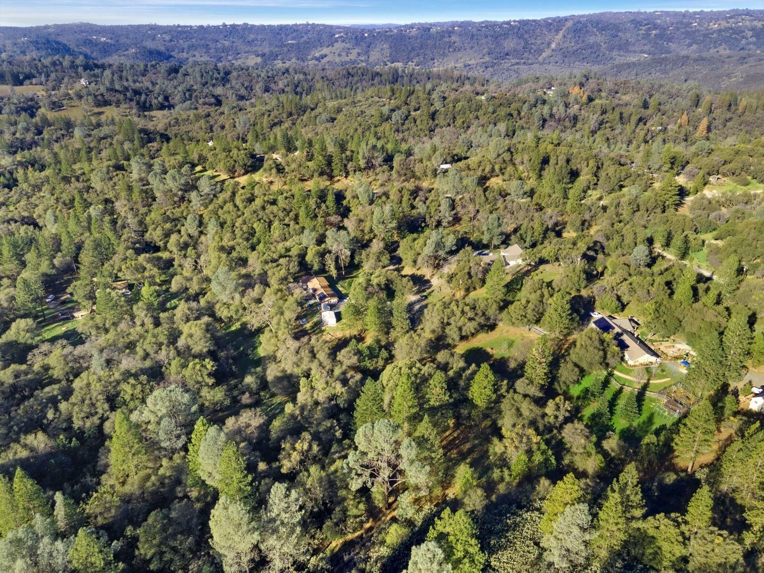 3040 Wolverine Court El Dorado, CA 95623 - Photo 18 of 23 view of a field with a tree
