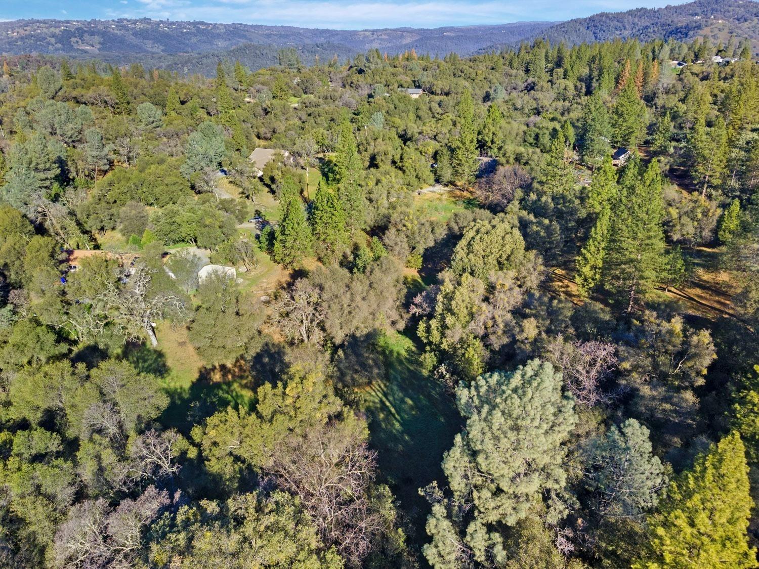 3040 Wolverine Court El Dorado, CA 95623 - Photo 21 of 23 a view of a yard with a tree