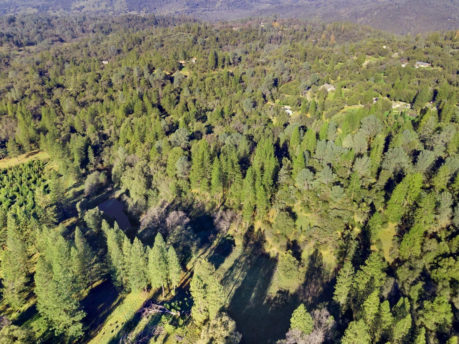 3040 Wolverine Court El Dorado, CA 95623 - Photo 22 of 23 a view of a bunch of trees and houses