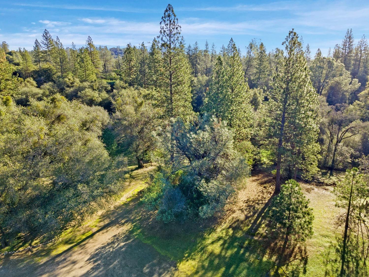 3040 Wolverine Court El Dorado, CA 95623 - Photo 3 of 23