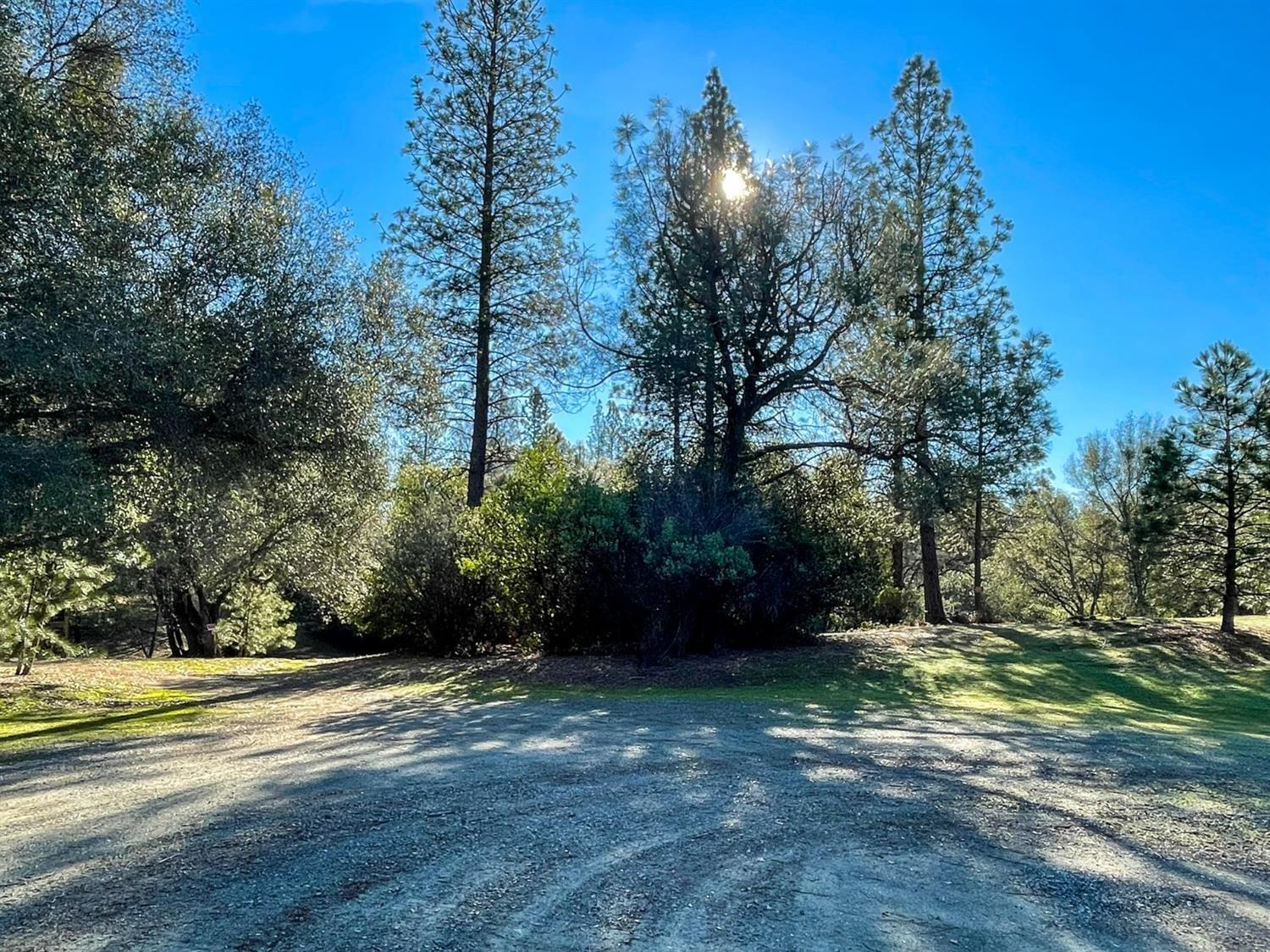 3040 Wolverine Court El Dorado, CA 95623 - Photo 4 of 23 a view of a yard with plants and trees