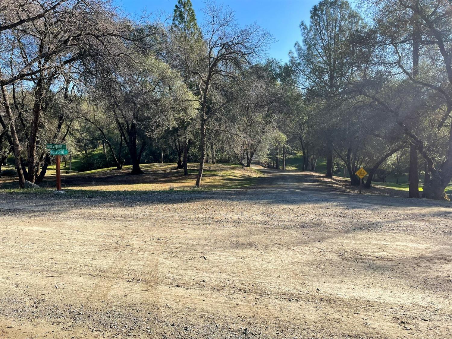 3040 Wolverine Court El Dorado, CA 95623 - Photo 5 of 23 a backyard of a house with lots of green space and trees