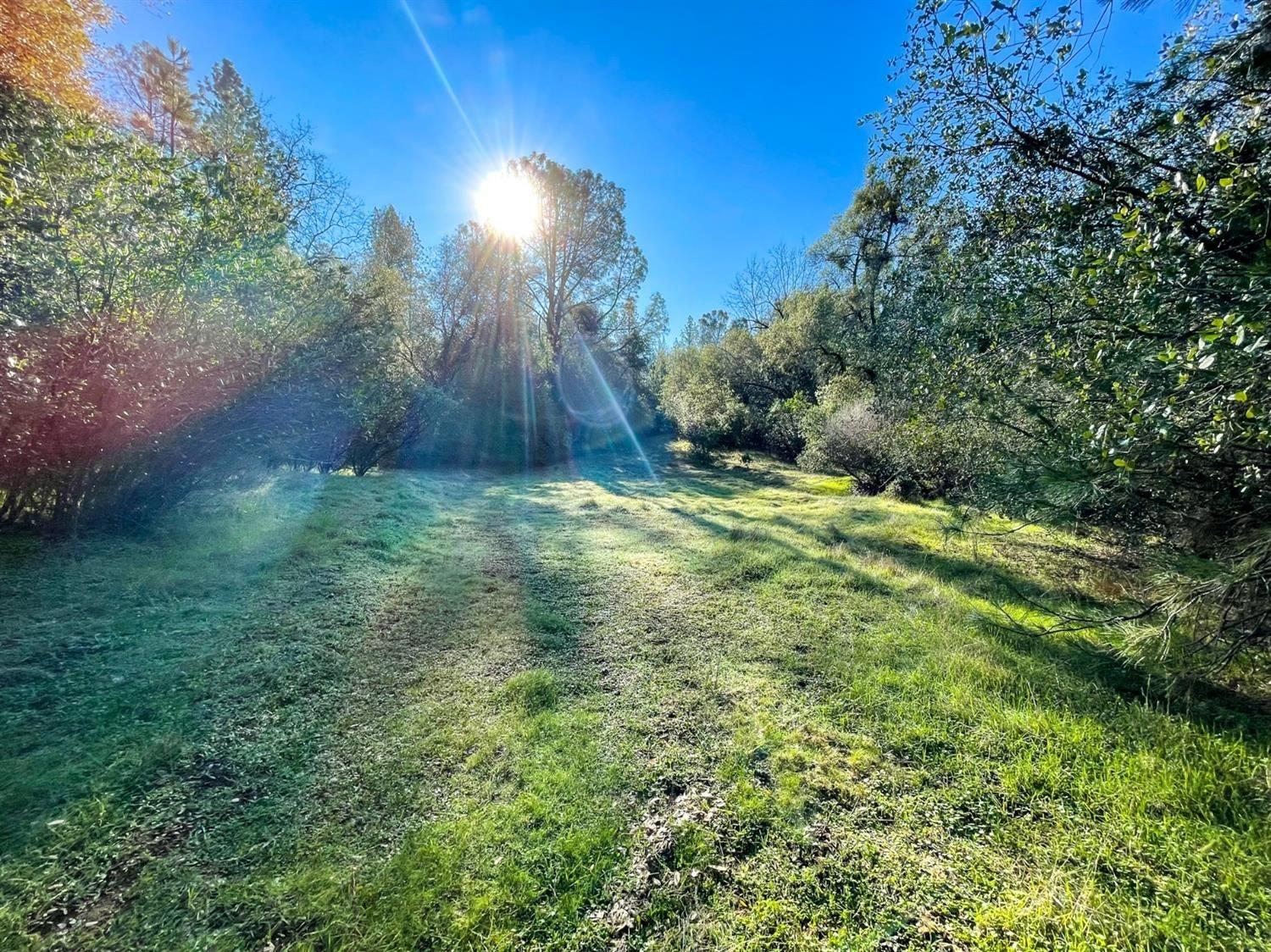 3040 Wolverine Court El Dorado, CA 95623 - Photo 9 of 23 a big yard with lots of green space