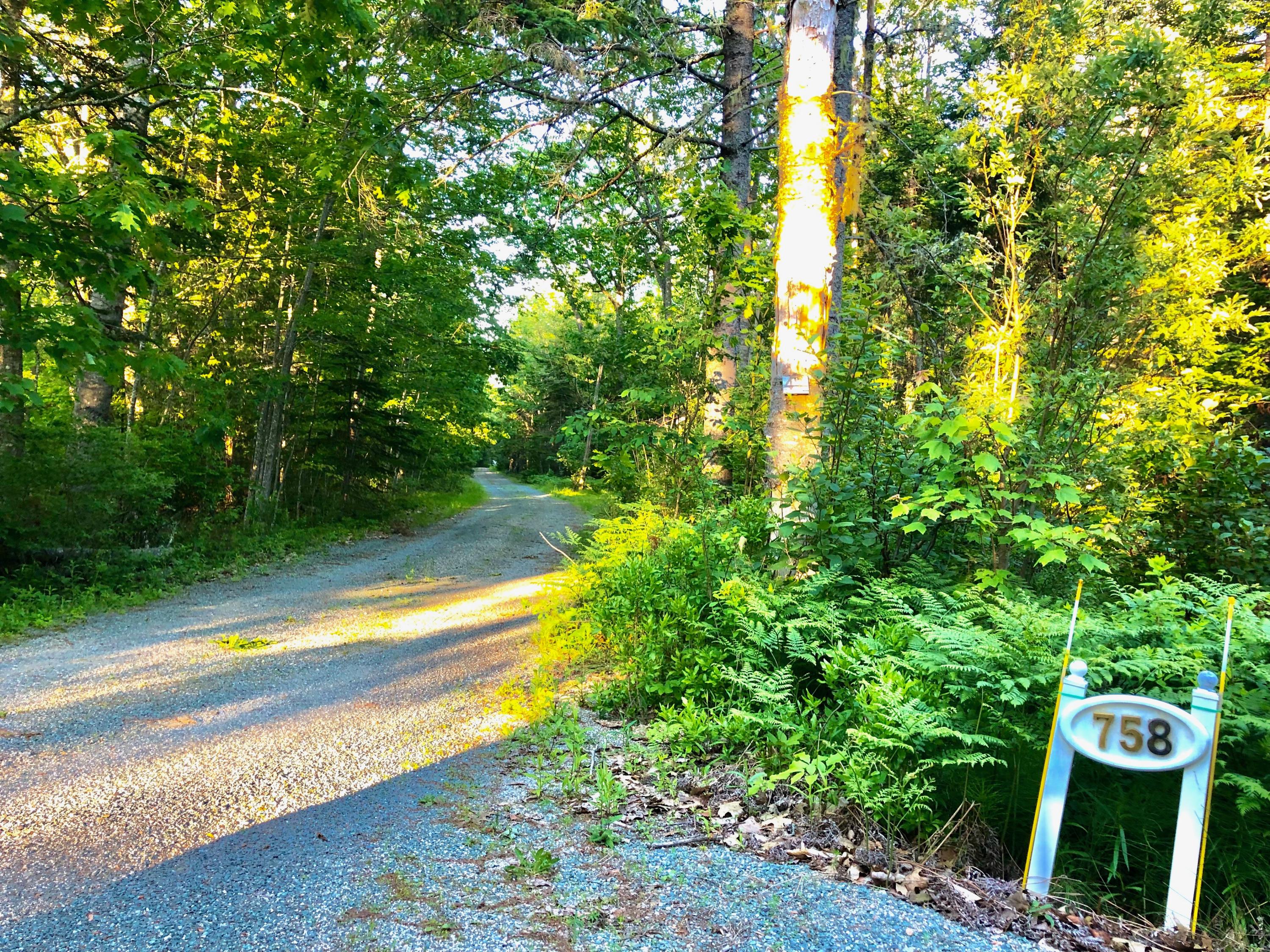 758 Newbury Neck Road Surry, ME 04684 - Photo 21 of 24 Peaceful well maintained driveway in