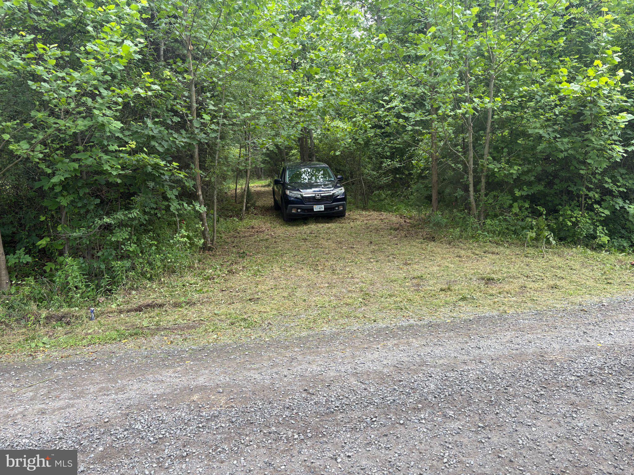 Old Orange Road Culpeper, VA 22701 - Photo 1 of 1 a car parked in middle of the forest