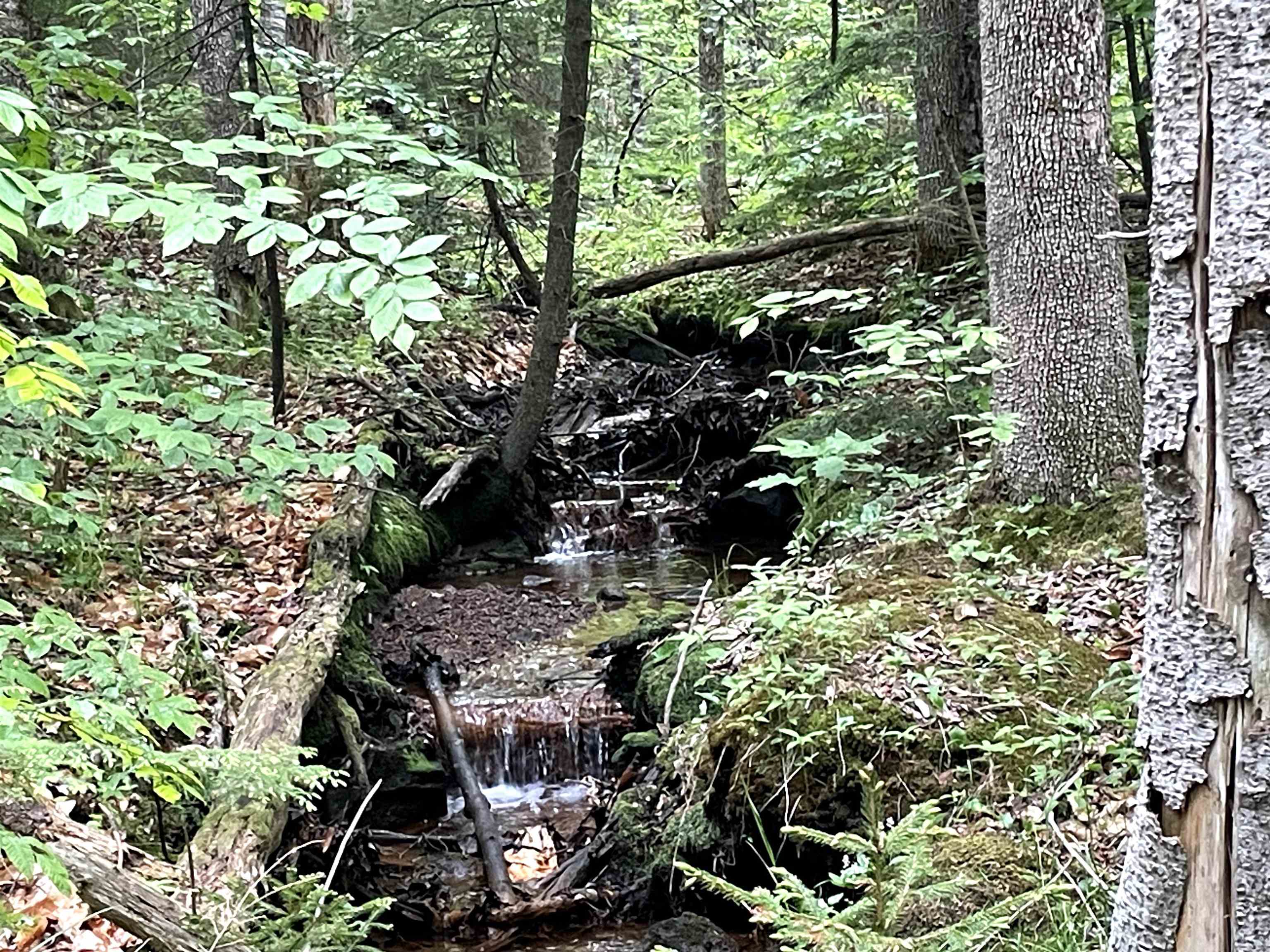 40 Hominy Pot Road New London, NH 03257 - Photo 10 of 10
