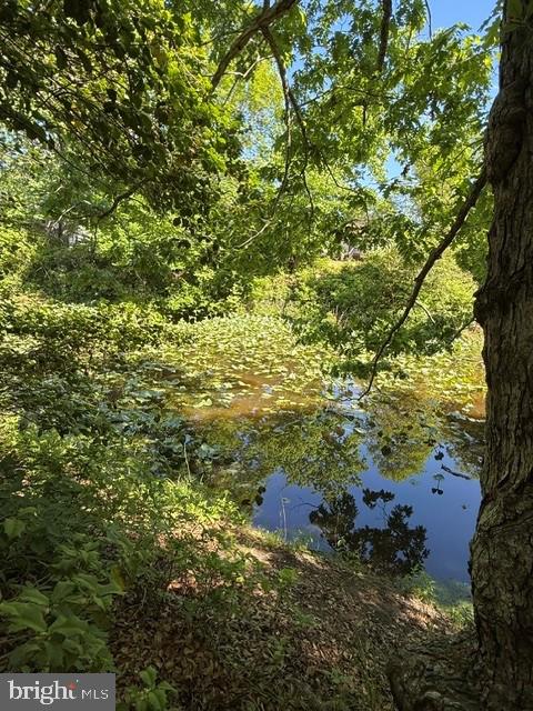 32 Placid Road Colonial Beach, VA 22443 - Photo 54 of 54