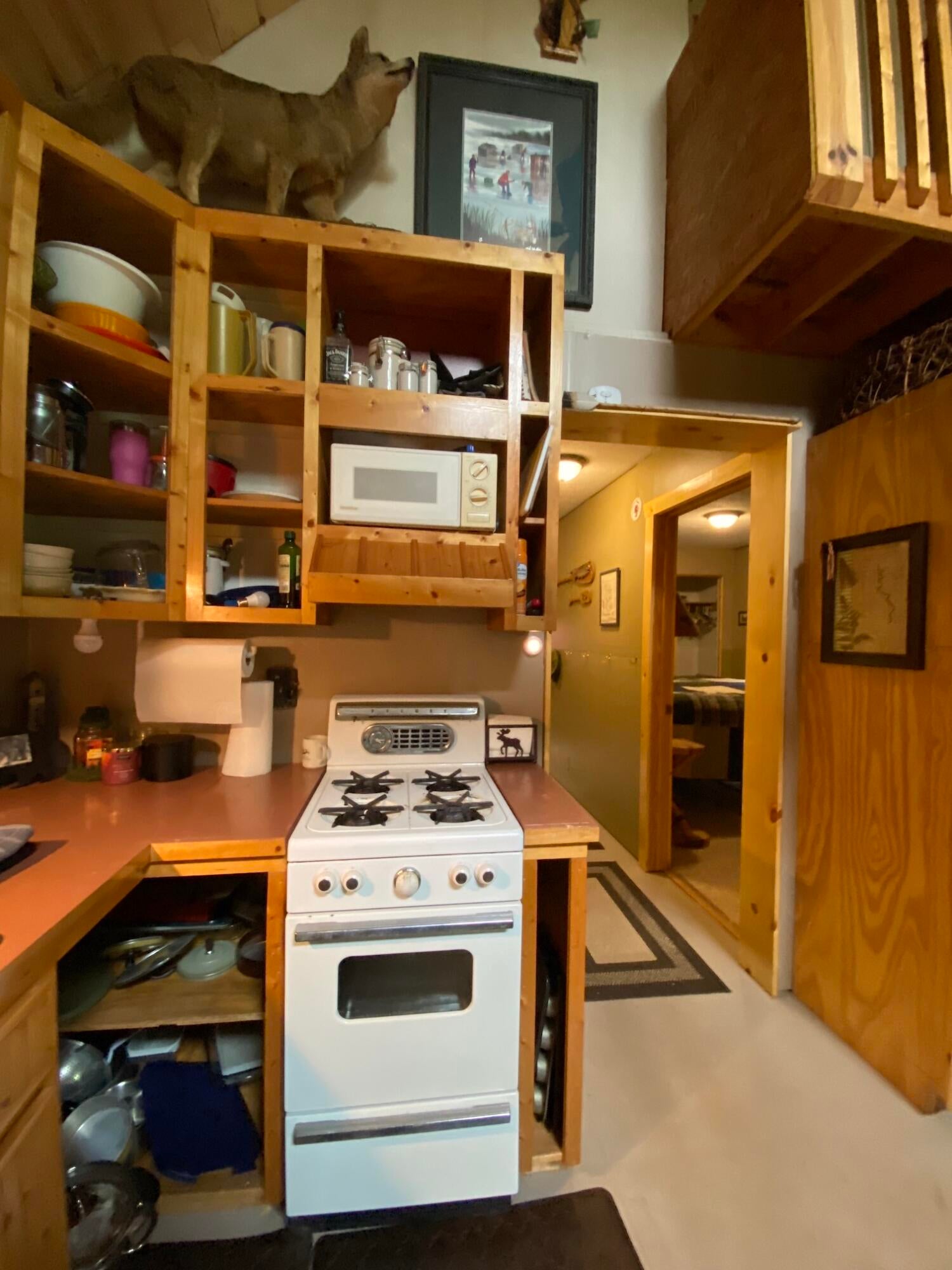 33936 West Betsy River Road Paradise, MI 49768 - Photo 9 of 46 Gallery Image 9