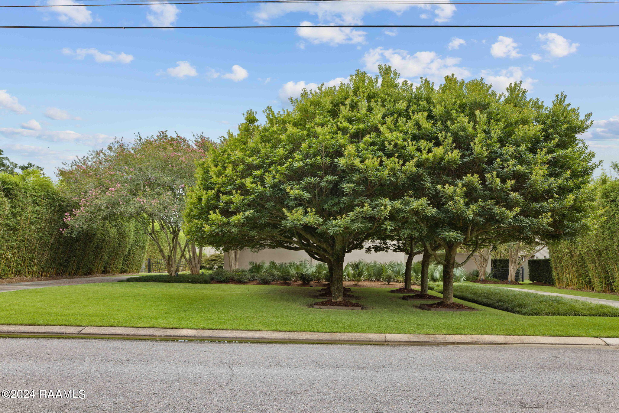 323 Beverly Drive Lafayette, LA 70503 - Photo 4 of 50 2-web-or-mls-323 Beverly Dr-2
