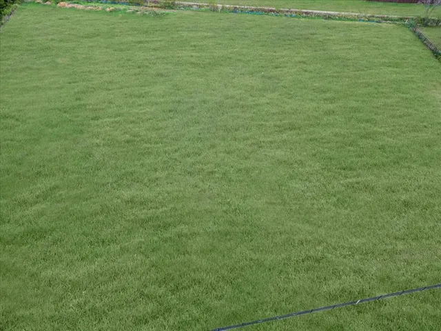 a view of a green field