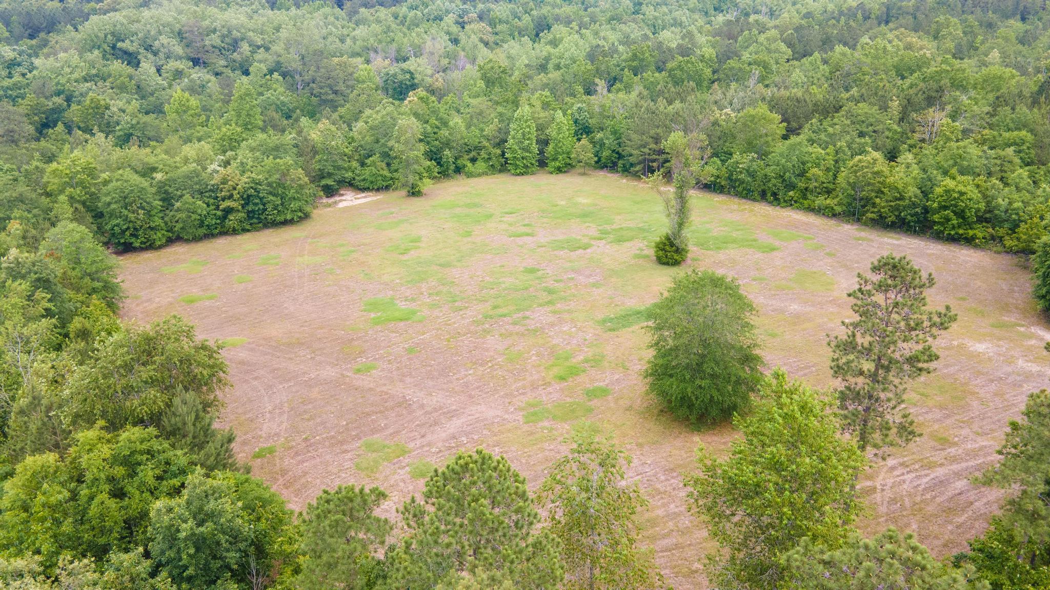 1420 Archie Ware Road Trenton, SC 29847 - Photo 43 of 66 Gallery Image 43