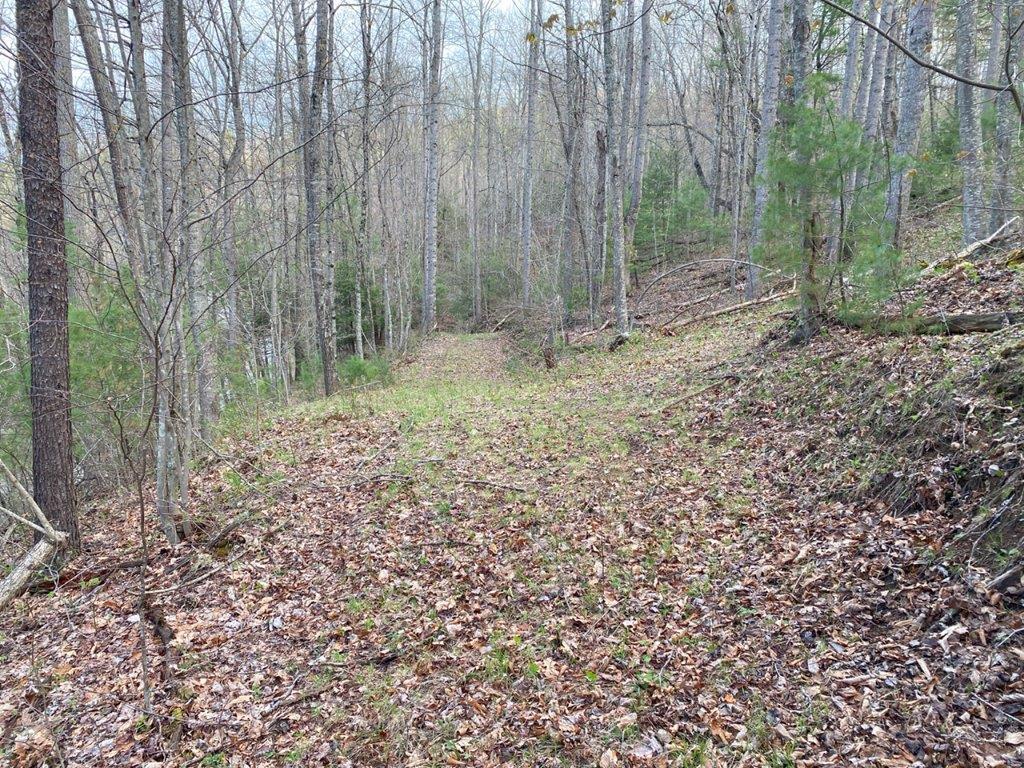 Tbd Sowers Road Northeast Floyd, VA 24091 - Photo 1 of 30 Gallery Image 1