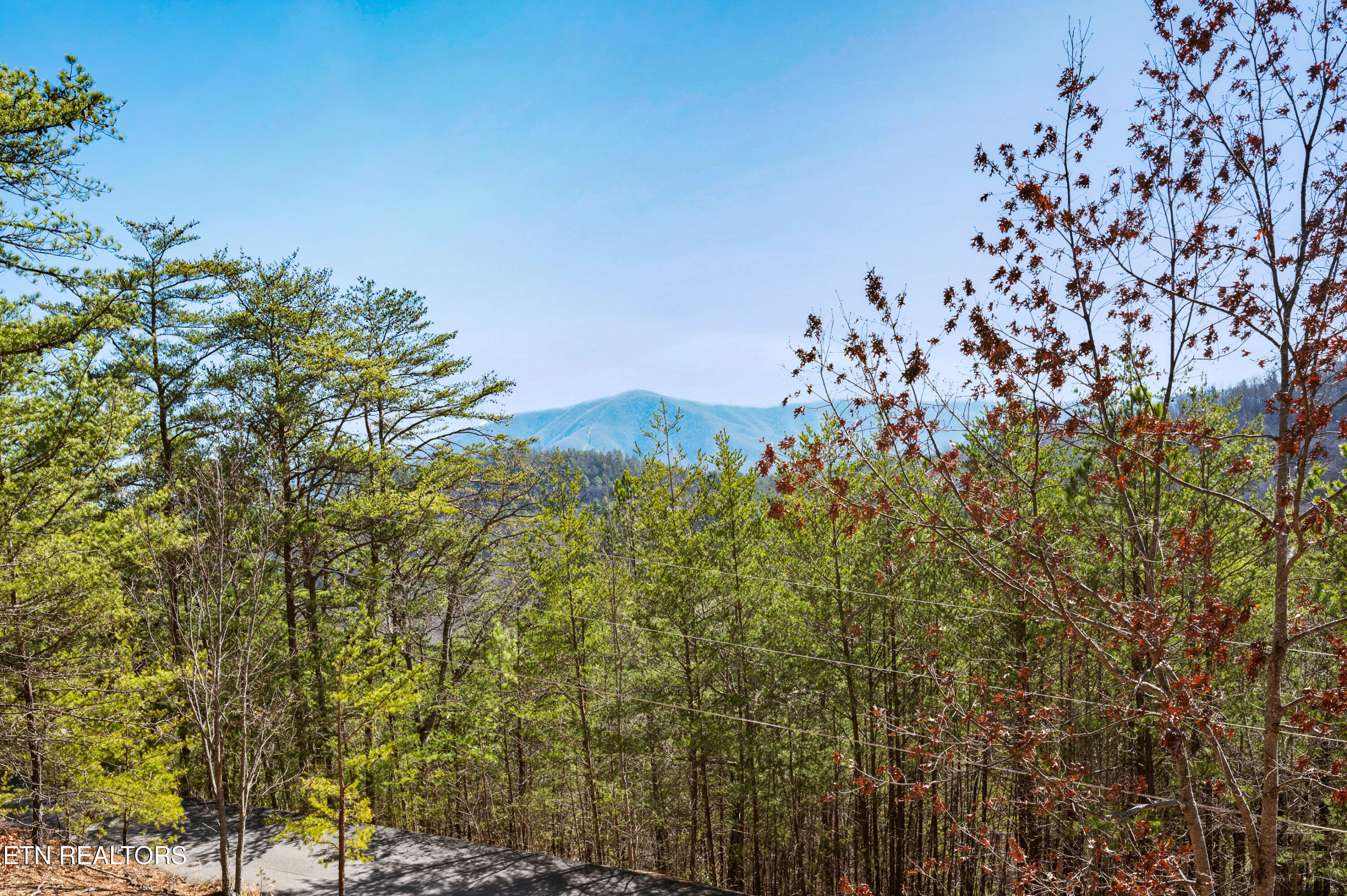 2644 Raccoon Hollow Way Sevierville, TN 37862 - Photo 27 of 57 DSC_0435