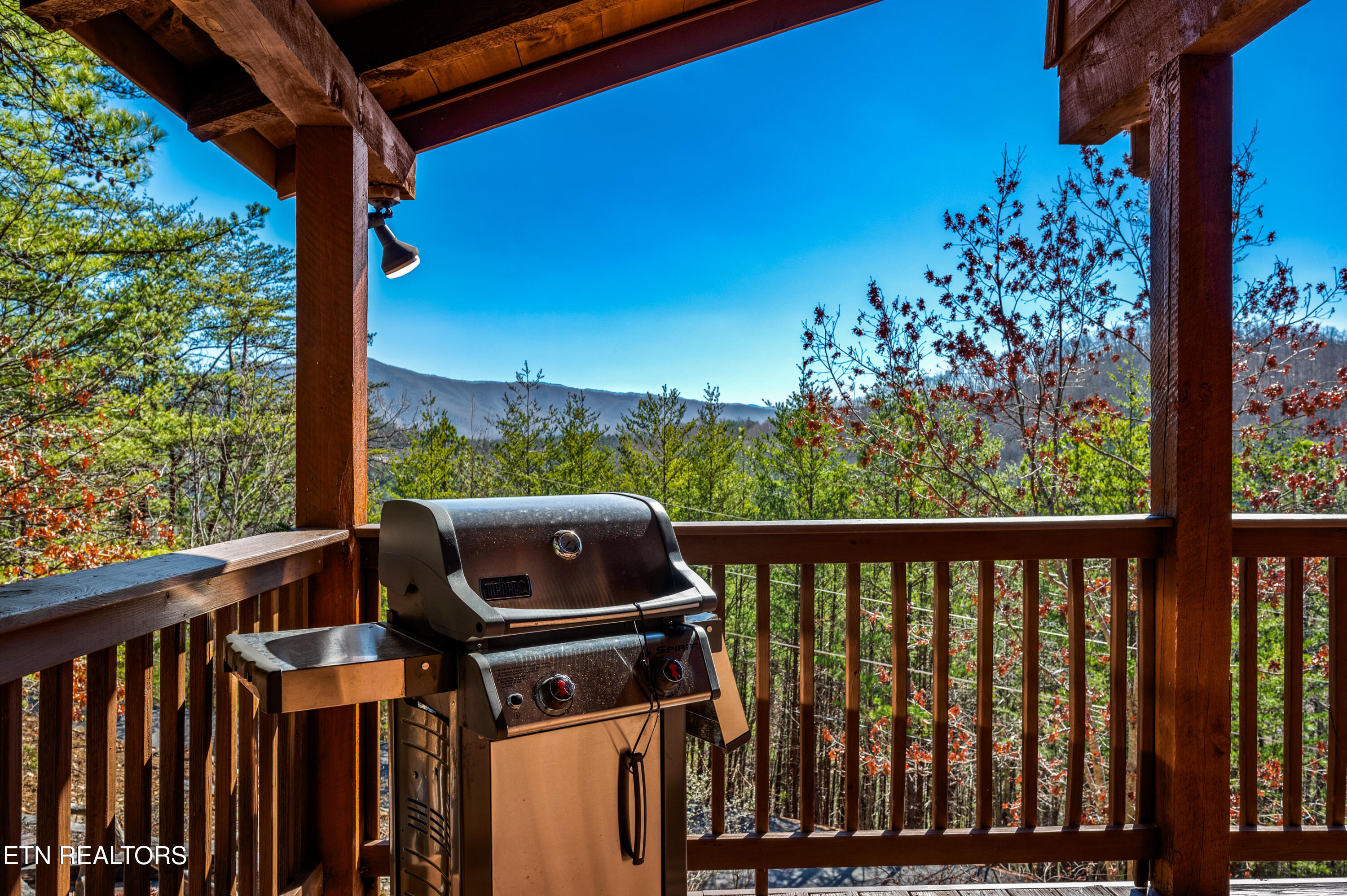 2644 Raccoon Hollow Way Sevierville, TN 37862 - Photo 33 of 57 DSC_0411