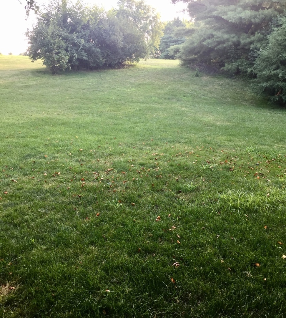 2569 East 259th Road Peru, IL 61354 - Photo 20 of 20
