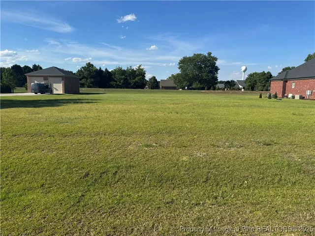 a view of a field with an trees in the background