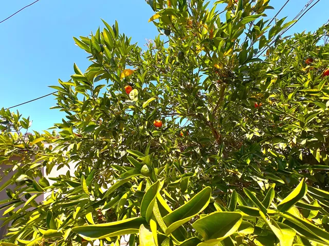 $260,000 | 3223 East Madison Avenue, Fresno, CA 93702