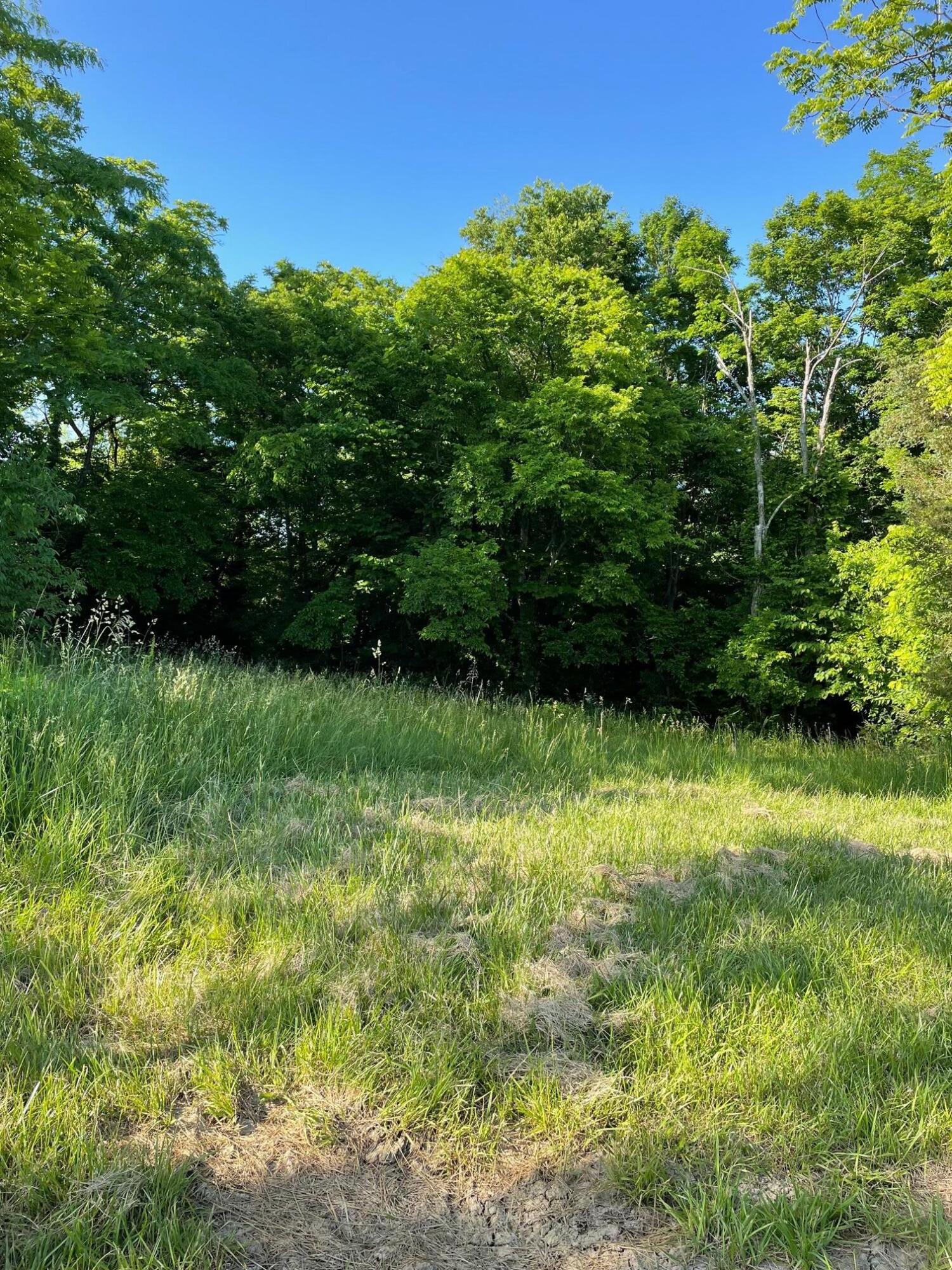 0 Center Ridge Road De Mossville, KY 41033 - Photo 4 of 8 Gallery Image 4