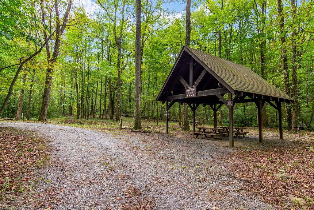 125 R Mountainside Parkway Ellijay, GA 30536 - Photo 21 of 22 Community picnic, camping, creek area