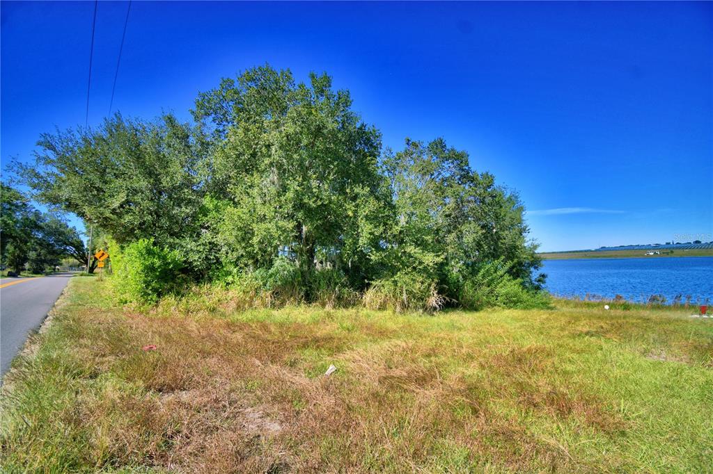 Lake Mabel Loop Road Lake Wales, FL 33898 - Photo 11 of 19 a view of a yard with a tree