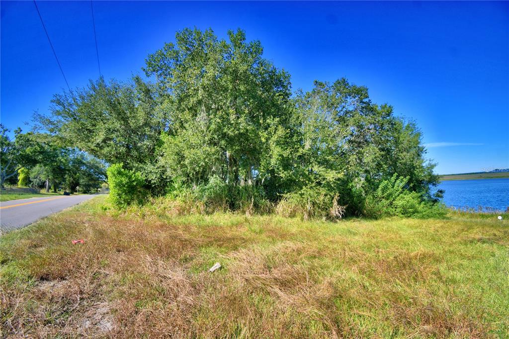 Lake Mabel Loop Road Lake Wales, FL 33898 - Photo 12 of 19 a view of a yard with a tree