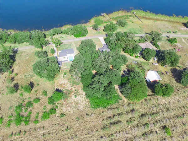 a view of a garden with a flower