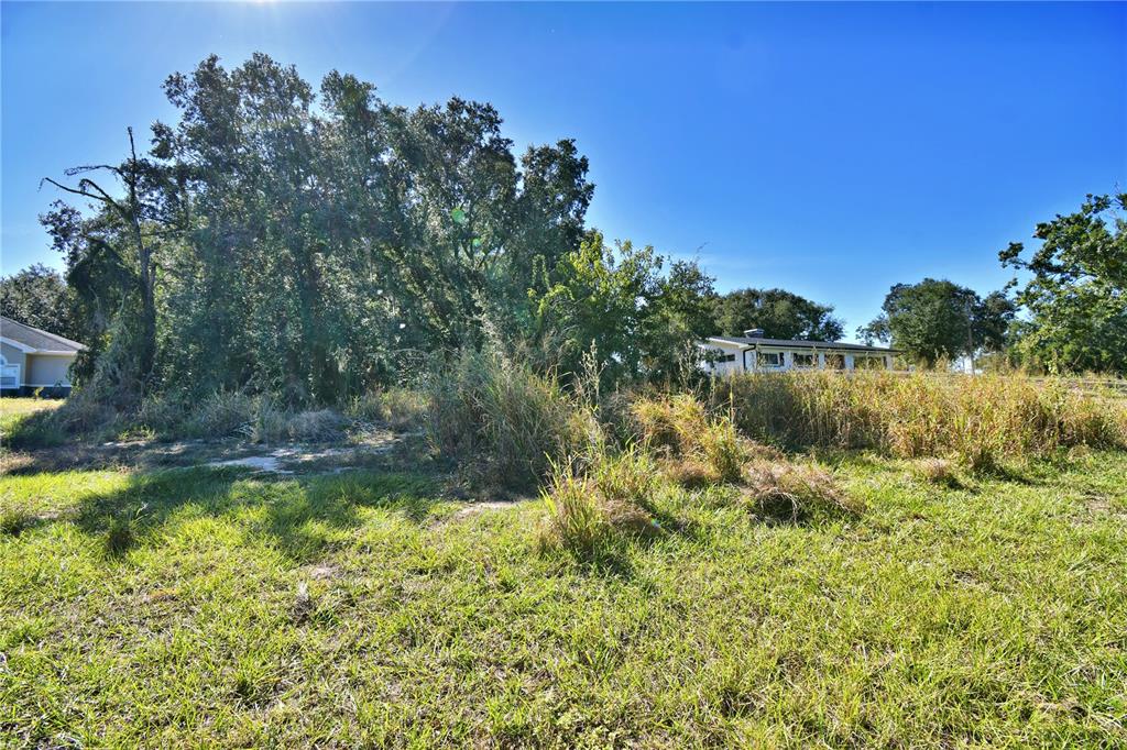 Lake Mabel Loop Road Lake Wales, FL 33898 - Photo 4 of 19 a view of a lake with a yard