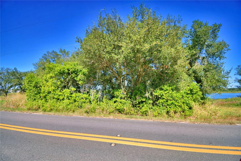 Lake Mabel Loop Road Lake Wales, FL 33898 - Photo 5 of 19 a view of a garden from a window