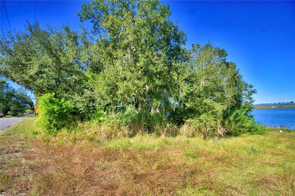 Lake Mabel Loop Road Lake Wales, FL 33898 - Photo 6 of 19 a view of a yard with plants and large trees