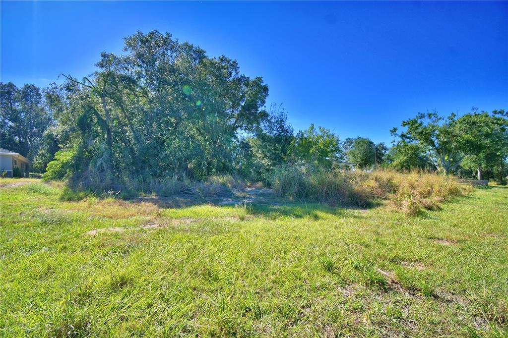 Lake Mabel Loop Road Lake Wales, FL 33898 - Photo 8 of 19 a view of a yard with a tree