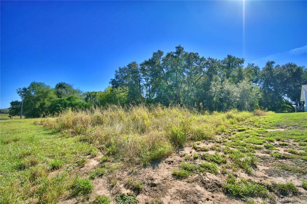 Lake Mabel Loop Road Lake Wales, FL 33898 - Photo 9 of 19 a view of a yard with a tree