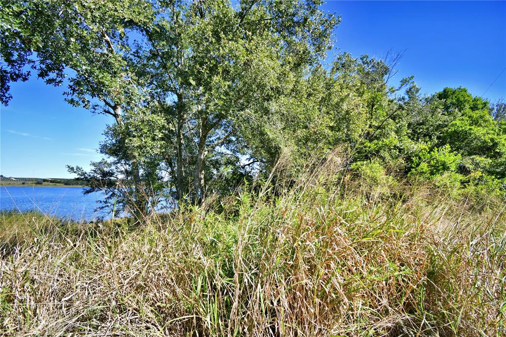 Lake Mabel Loop Road Lake Wales, FL 33898 - Photo 10 of 19 a view of a field