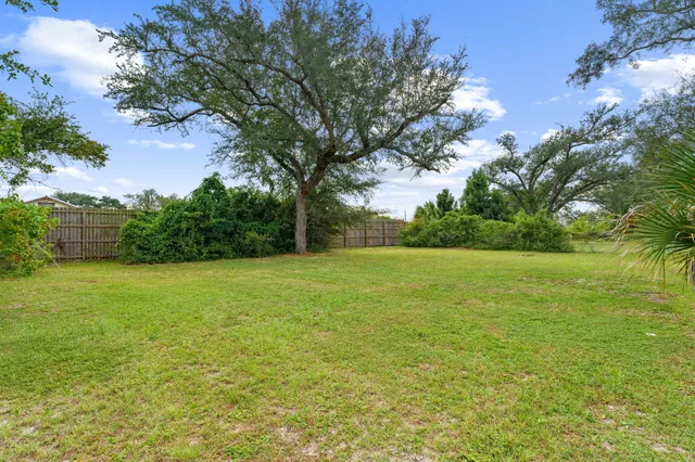 a view of a field with an trees