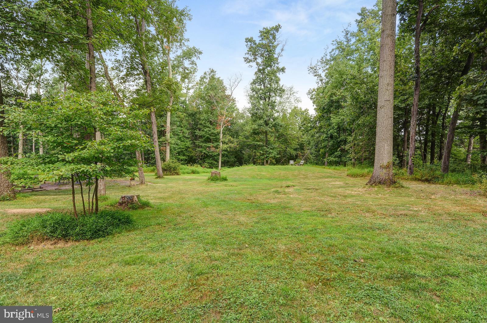 14 Cleveland Road West Princeton, NJ 08540 - Photo 39 of 40 Backyard