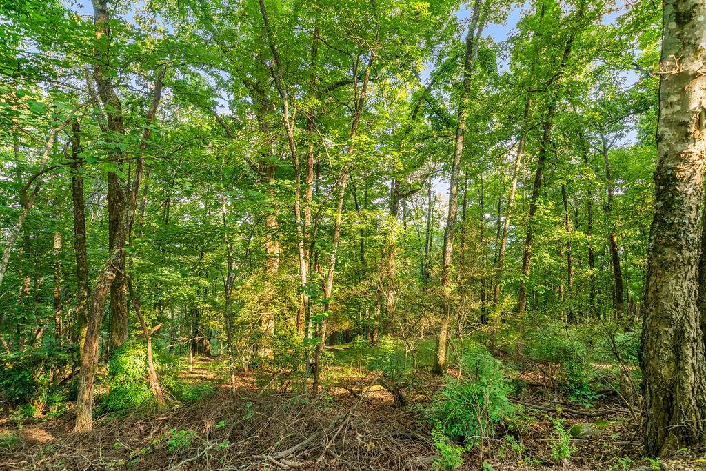 0 Mt Alto Road Southwest Rome, GA 30165 - Photo 4 of 12