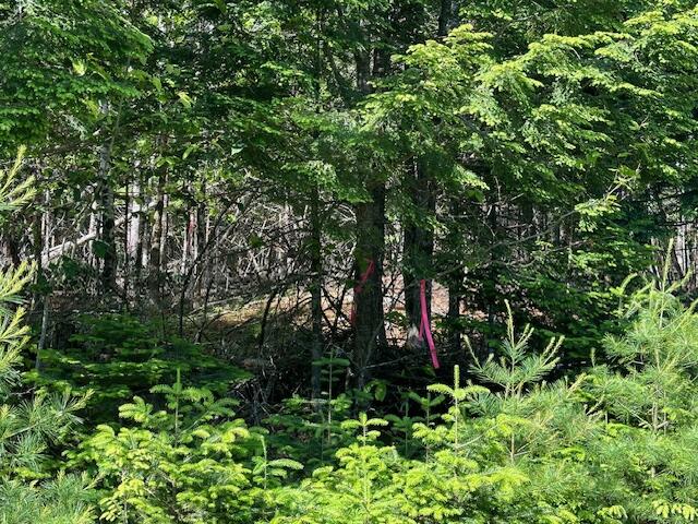 671 Stream Road Winterport, ME 04496 - Photo 17 of 47