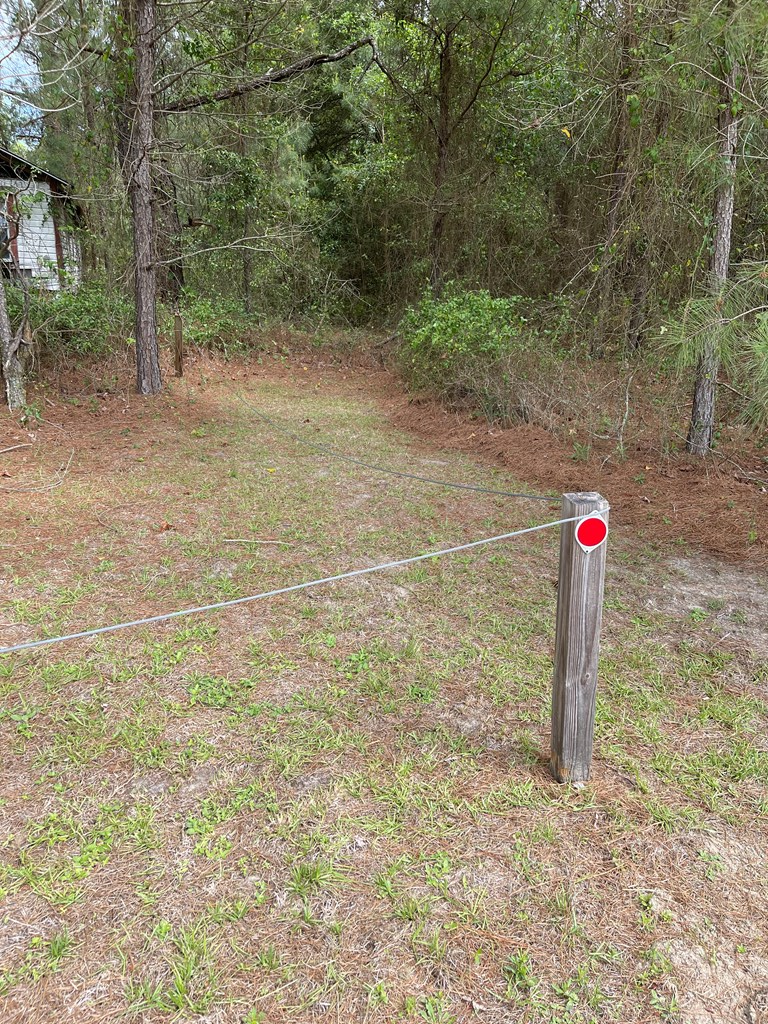 0 Beasley Road Dixie, GA 31629 - Photo 3 of 5 Gallery Image 3