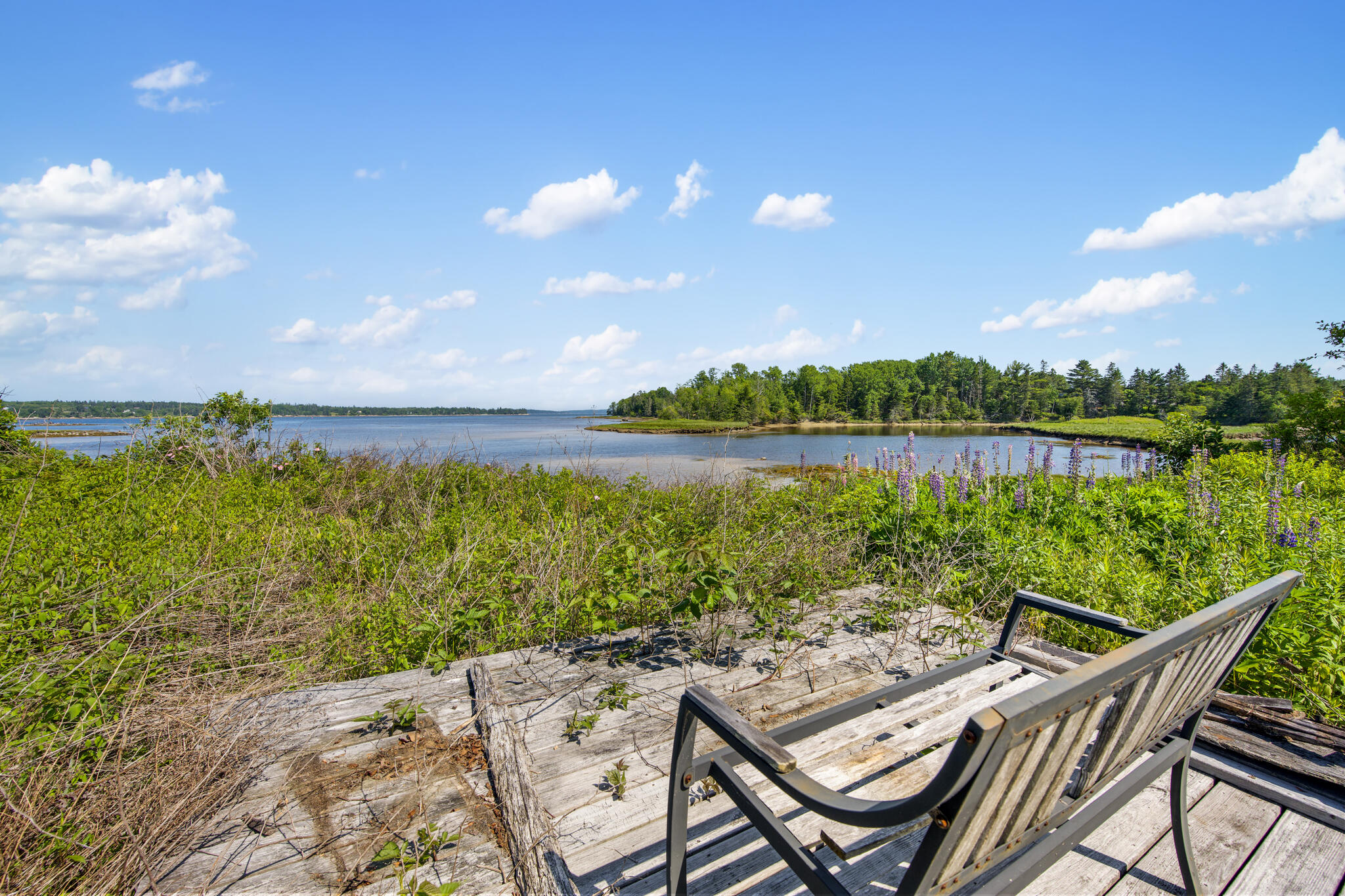 88 Main Street Milbridge, ME 04658 - Photo 3 of 93 DSC_2316