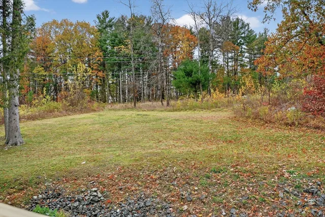 a view of a field with trees in the background