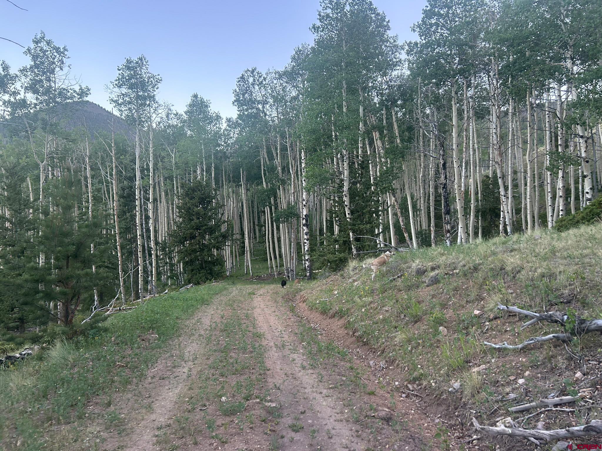 13 Bonanza Road Villa Grove, CO 81155 - Photo 23 of 36